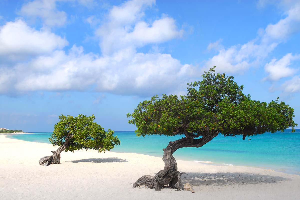 ARUBA Destinations: Unmissable Spots for Every Traveler’s Itinerary