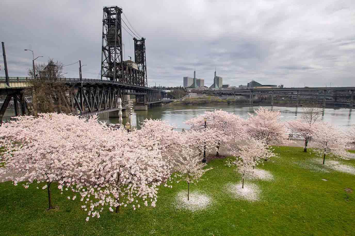 🩺 How I Choose the Right Medical and Emergency Insurance for My Portland Trips